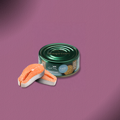 48x70g Terra Felis Souprème Lachs