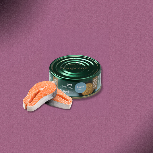 48x70g Terra Felis Souprème Lachs