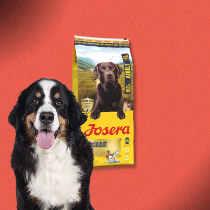 2x12,5kg Josera SensiAdult