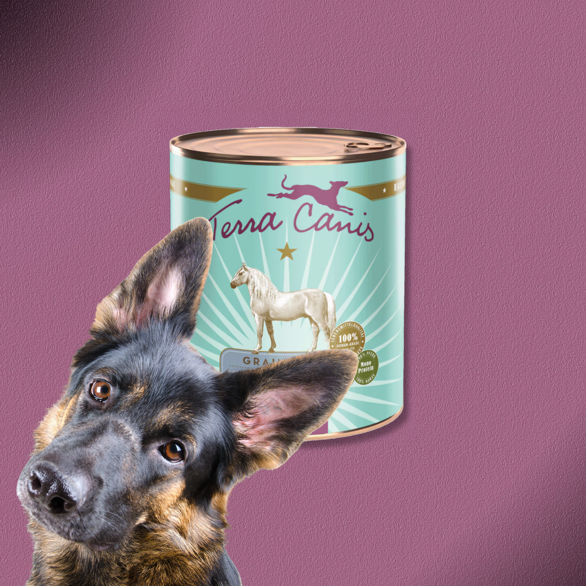 6x800g Terra Canis Grain-Free - Pferd mit Steckrübe, Fenchel & Salbei