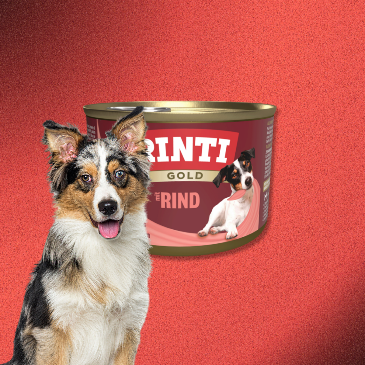 72x185g Rinti Gold - Rind