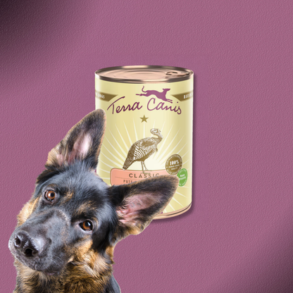 6x400g Terra Canis Pute mit Brokkoli, Birne & Kartoffeln