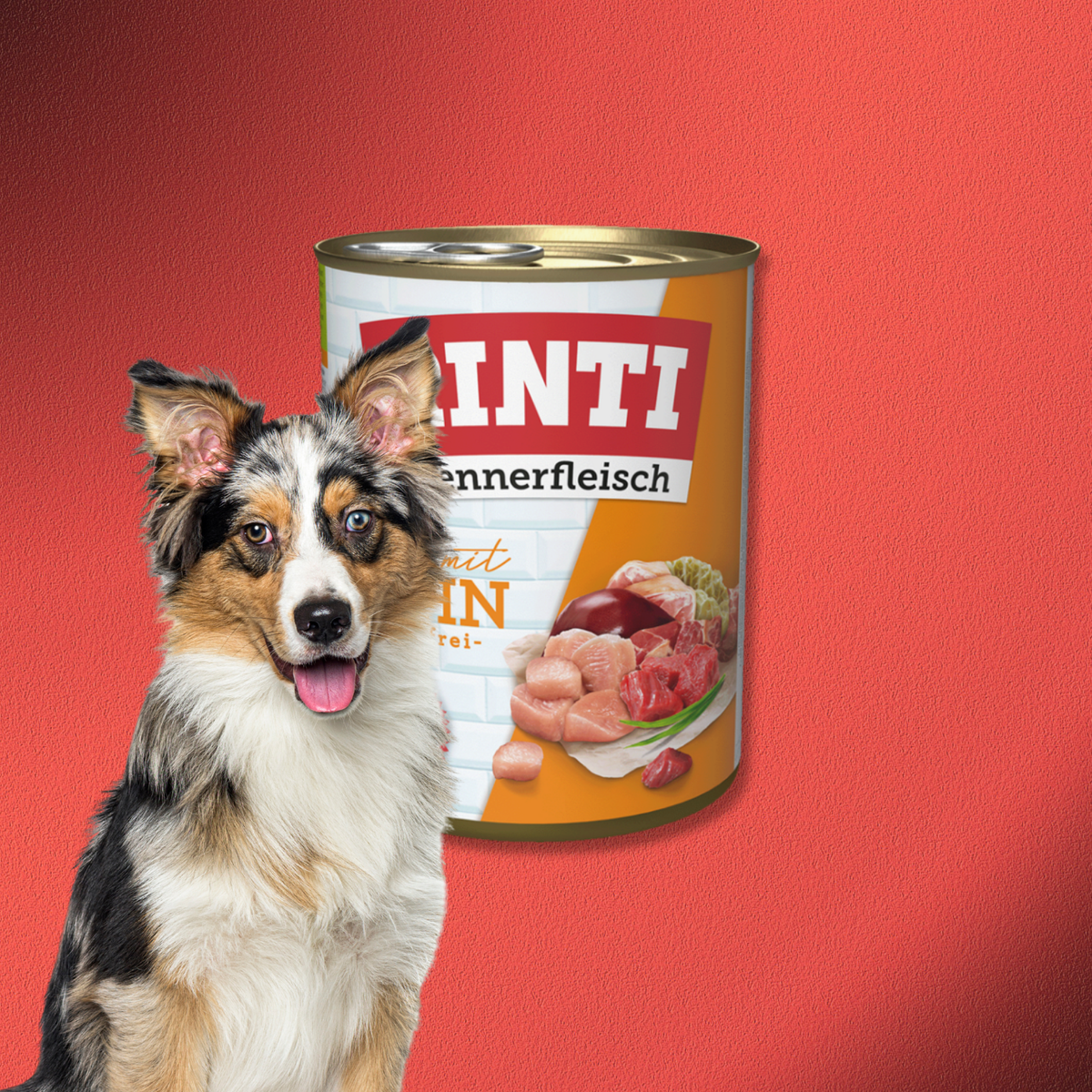 36x800g Rinti Kennerfleisch - Huhn