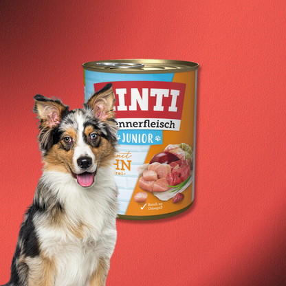 30x800g Rinti Kennerfleisch Junior - Huhn
