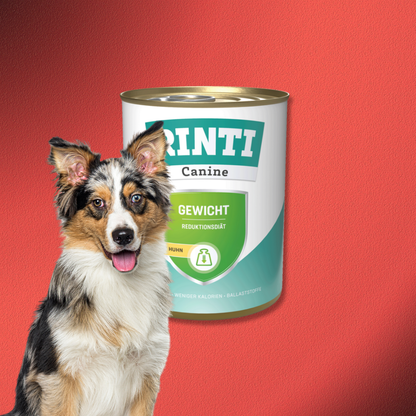 30x800g Rinti Canine Gewicht mit Huhn