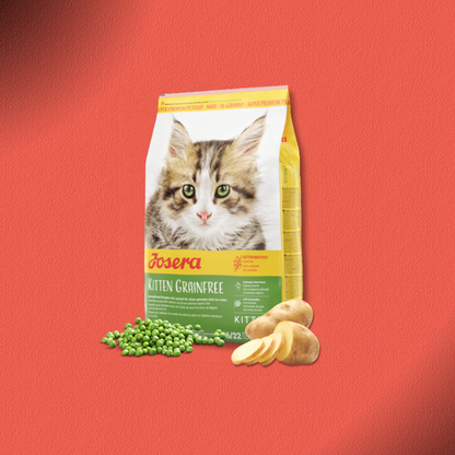 2x10kg Josera Kitten Grainfree