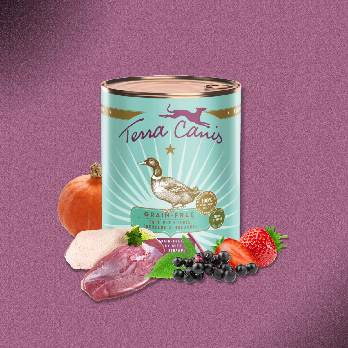 6x800g Terra Canis Grain-Free - Ente mit Kürbis, Erdbeeren und Holunder