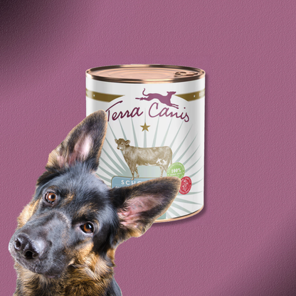 6x800g Terra Canis Schonkost Kalb mit Karotte, Kartoffel, Hüttenkäse & Kamille