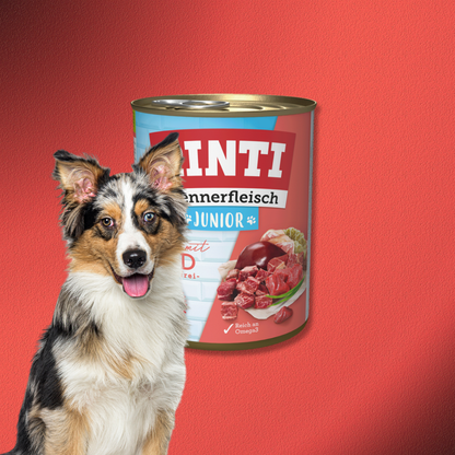 30x800g Rinti Kennerfleisch Junior - Rind