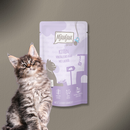 36x125g MjAMjAM - Quetschie Kitten vorzügliches Kalb mit Lachsöl