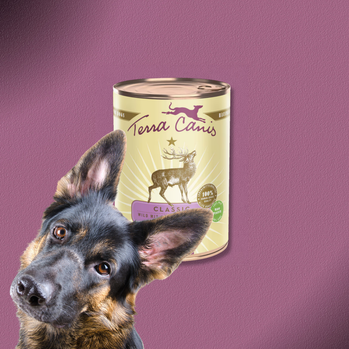 6x400g Terra Canis Wild mit Kürbis, Amaranth & Preiselbeeren