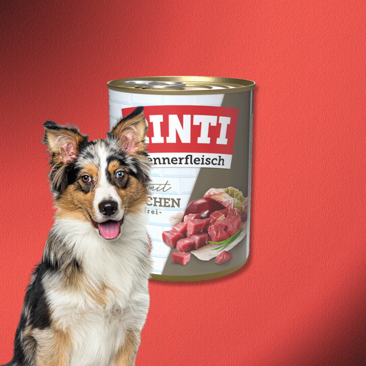 30x800g Rinti Kennerfleisch - Kaninchen