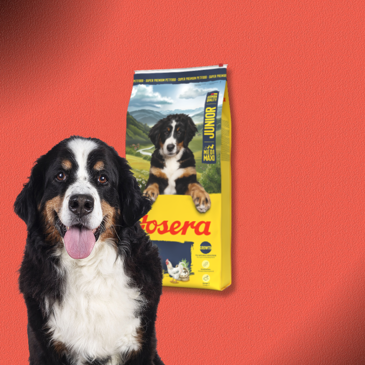 2x12,5kg Josera Kids mit Huhn & Reis