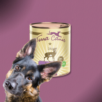 6x800g Terra Canis Classic - Wild mit Kürbis, Amaranth und Preiselbeere