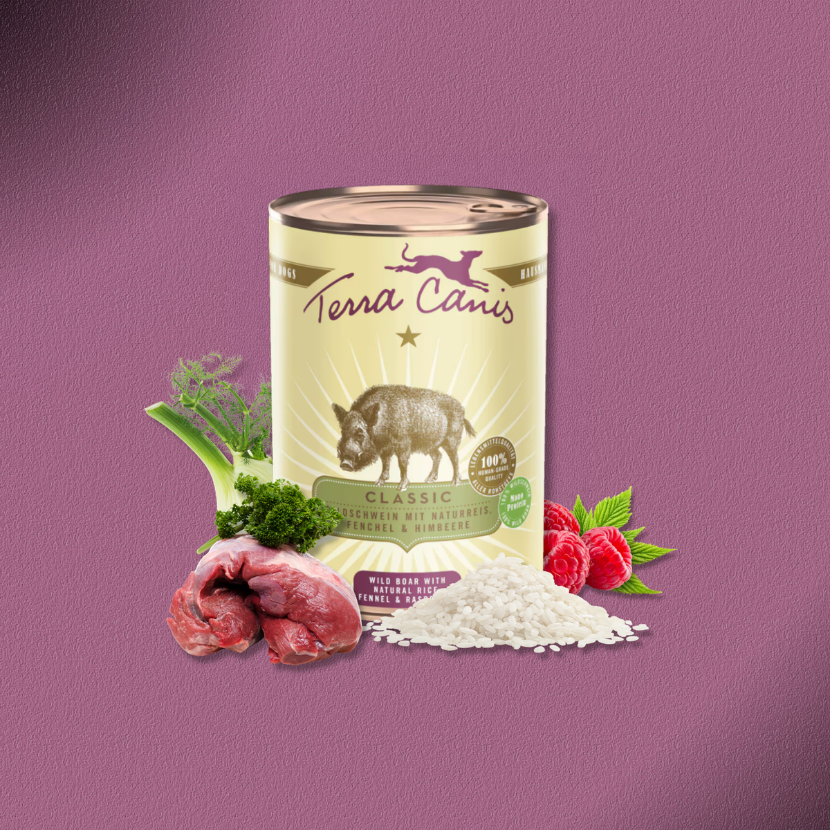 6x400g Terra Canis Wildschwein mit Naturreis, Fenchel & Himbeeren