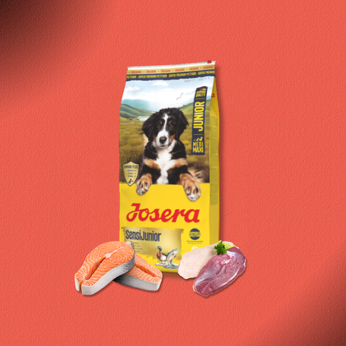 2x12,5kg Josera SensiJunior
