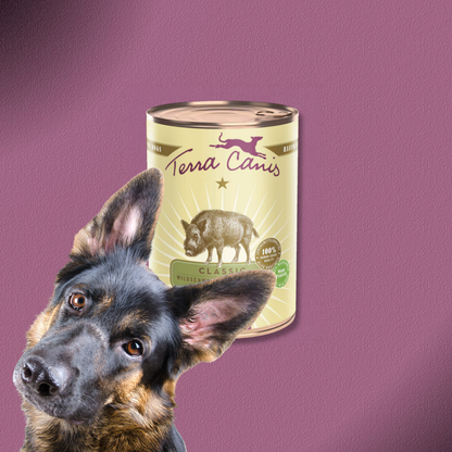 6x400g Terra Canis Wildschwein mit Naturreis, Fenchel & Himbeeren