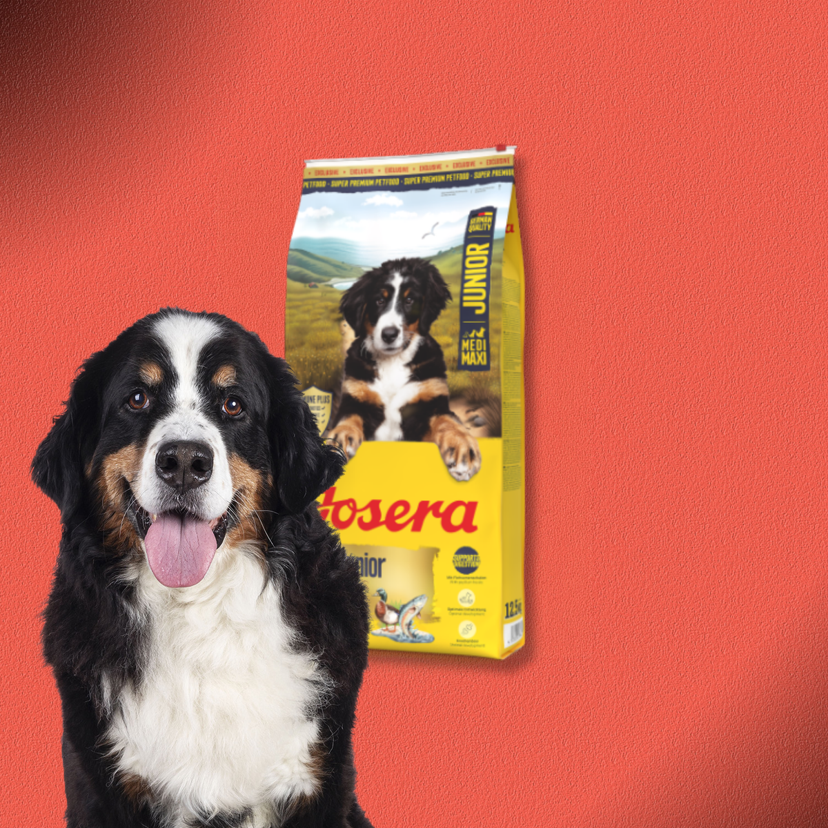 2x12,5kg Josera SensiJunior