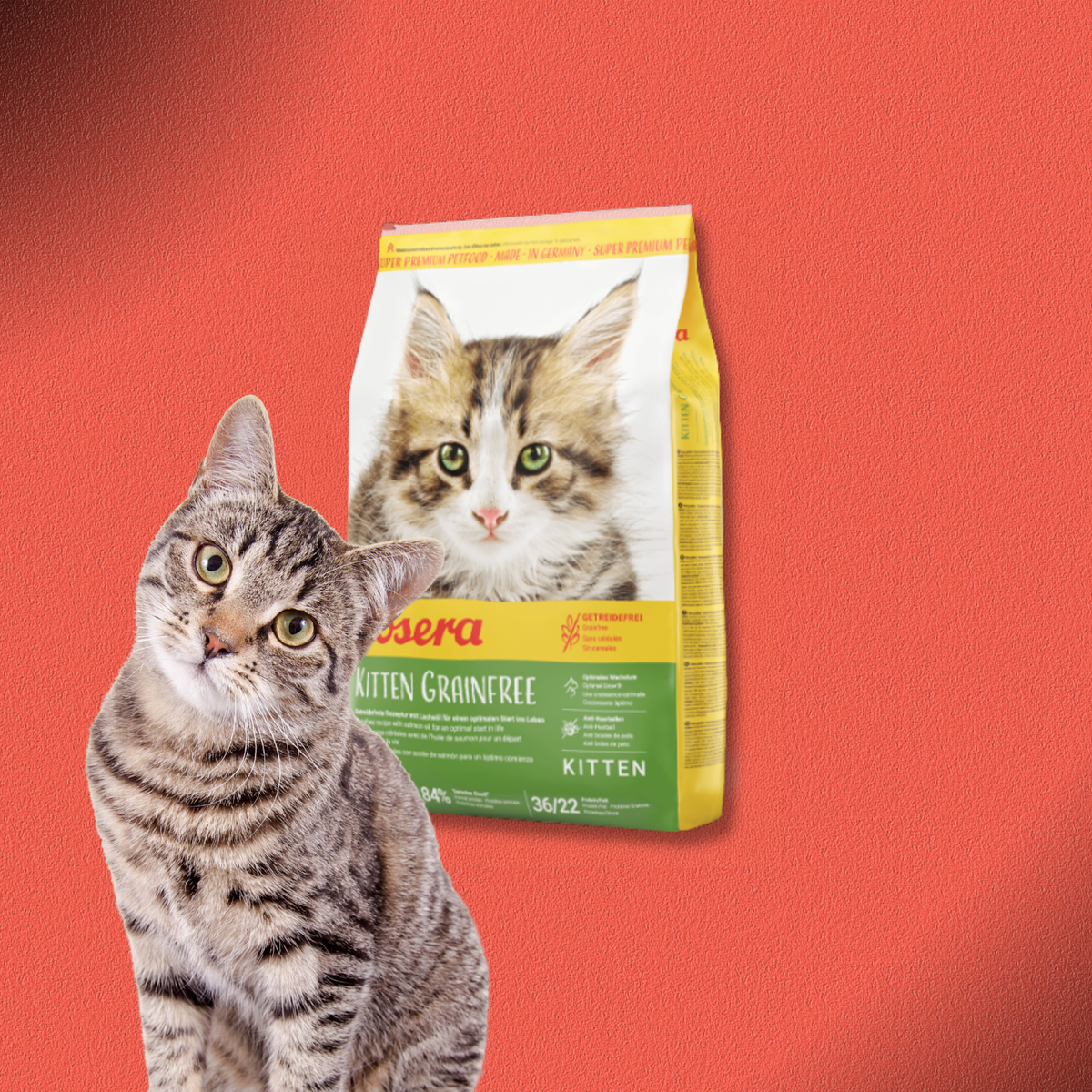 2x10kg Josera Kitten Grainfree