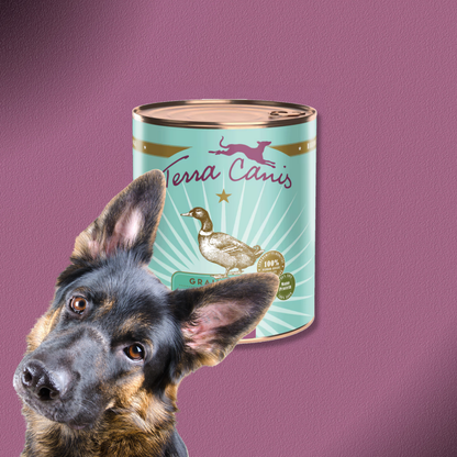 6x800g Terra Canis Grain-Free - Ente mit Kürbis, Erdbeeren und Holunder