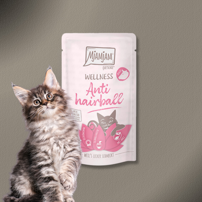 36x125g MjAMjAM - Wellness - Anti Hairball - Rind