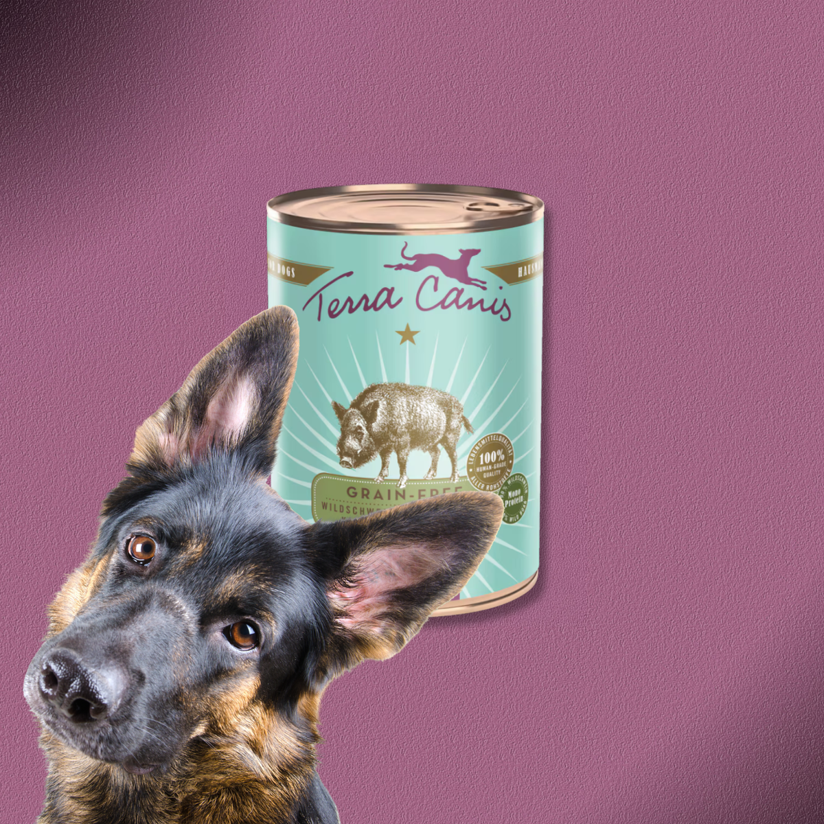 6x400g Terra Canis Grainfree Wildschwein mit Roter Bete, Kastanie und Chiasamen