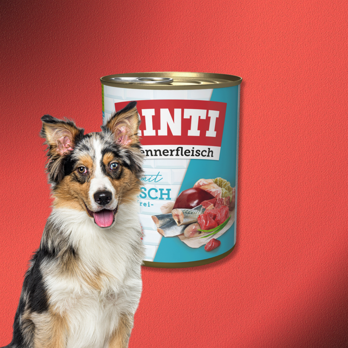 30x800g Rinti Kennerfleisch - Seefisch