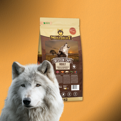 12,5kg Wolfsblut Western Cape Adult