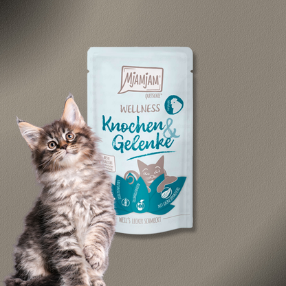 36x125g MjAMjAM - Wellness - Knochen & Gelenke - Huhn
