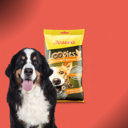 30x150g Josera Loopies - Geflügel