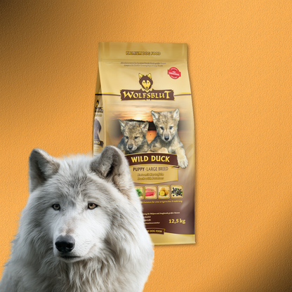 12,5kg Wolfsblut Wild Duck Large Breed Puppy