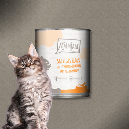 6x400g MjAMjAM Cat  saftiges Huhn an leckeren Möhrchen