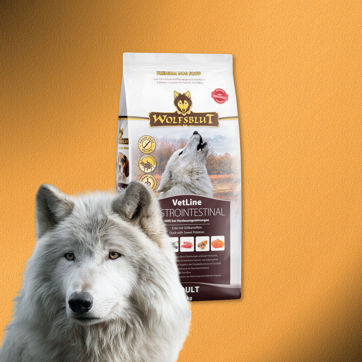 12kg Wolfsblut VetLine Gastrointestinal