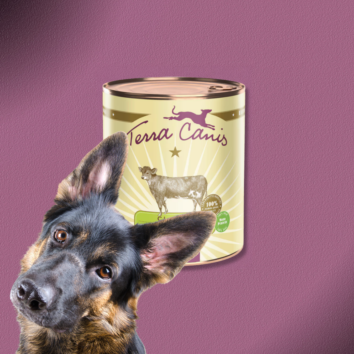 6x800g Terra Canis Classic Kalb mit Hirse, Gurke, gelber Melone & Basilikum