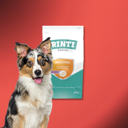 2x12kg Rinti Canine Intestinal mit Ente