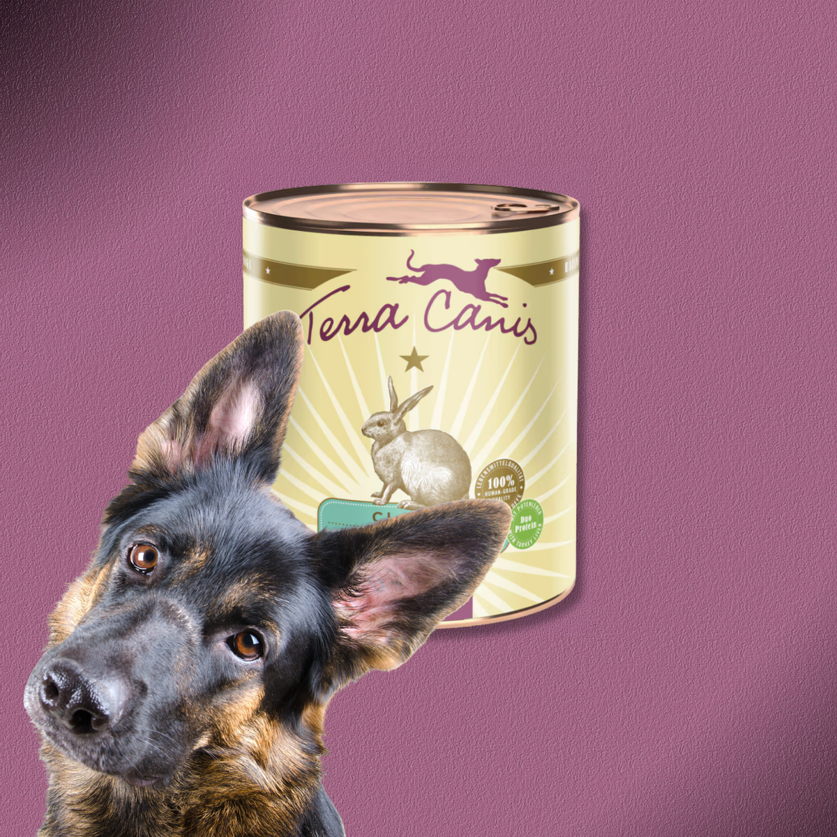 6x800g Terra Canis Classic Kaninchen mit Zucchini, Amaranth & Kerbel