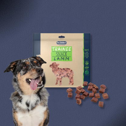15x500g Dr.Clauder's Trainee Snack - Lammfleisch