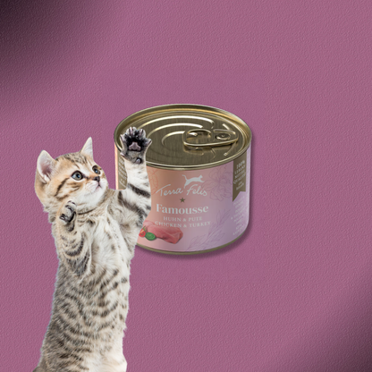 36x200g Terra Felis Famousse Huhn & Pute