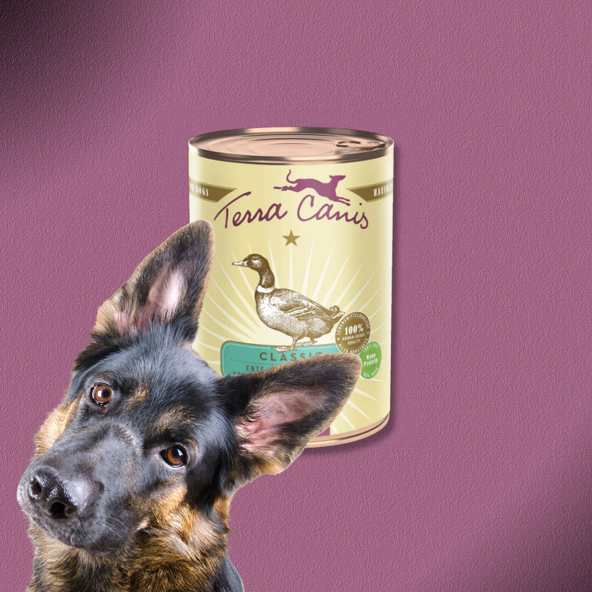 6x400g Terra Canis Ente mit Naturreis, Rote Bete, Birne & Sesam