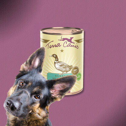 6x400g Terra Canis Ente mit Naturreis, Rote Bete, Birne & Sesam