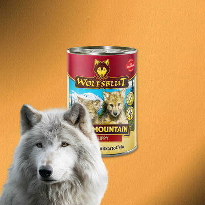 6 x 395g Wolfsblut Puppy Blue Mountain - Wild mit Süßkartoffeln