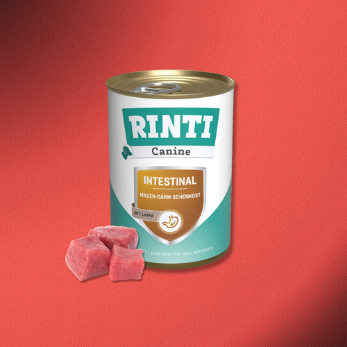 48x400g Rinti Canine Intestinal mit Lamm