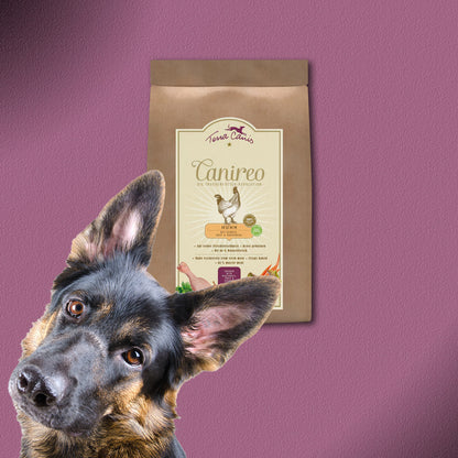 5kg Terra Canis Canireo Huhn mit Zucchini, Apfel & Kokos