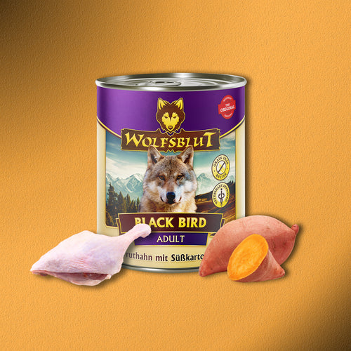 6 x 800g Wolfsblut Black Bird Adult – Truthahn mit Süßkartoffeln