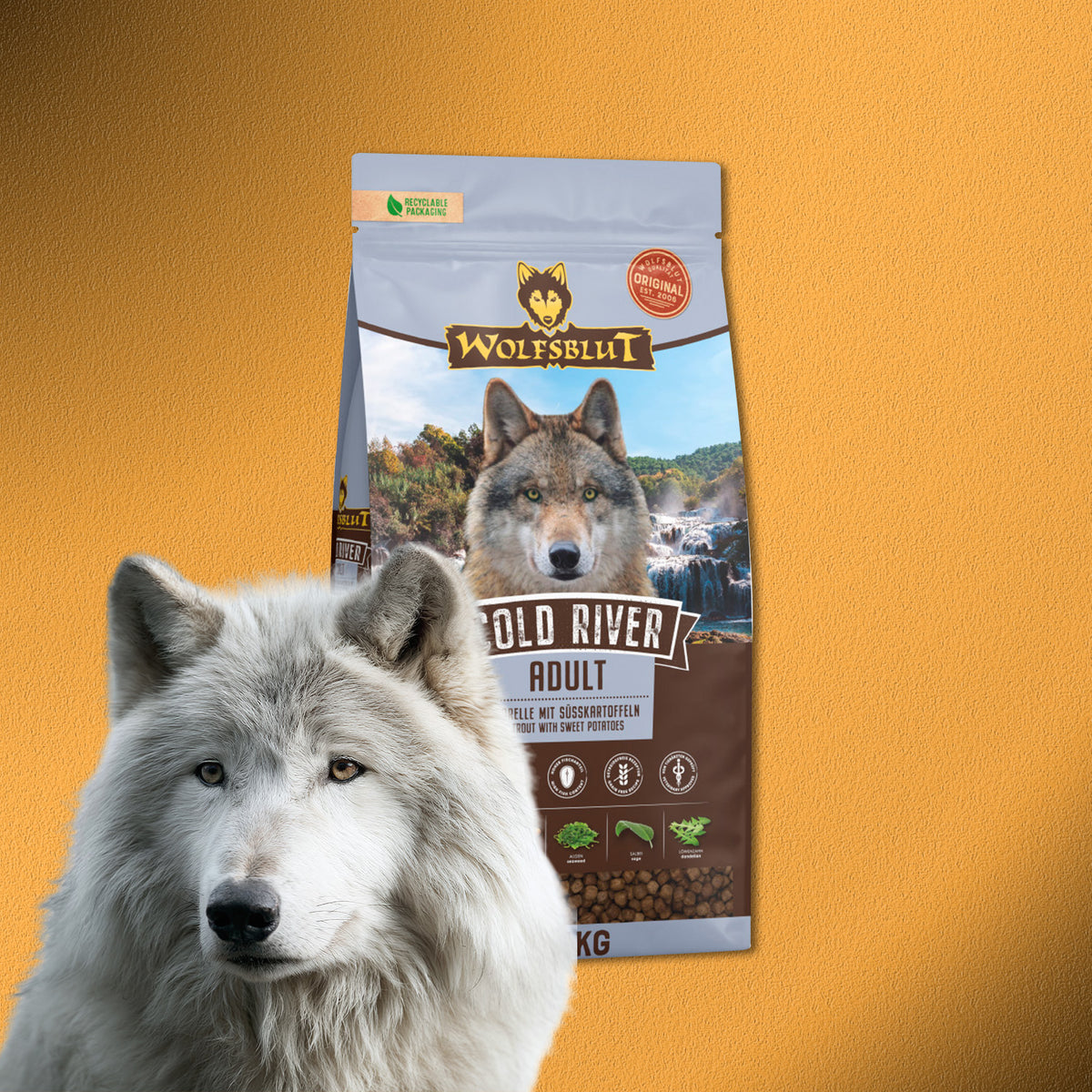 12,5kg Wolfsblut Cold River Adult Trockenfutter