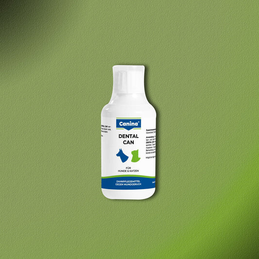 Canina Dental Can