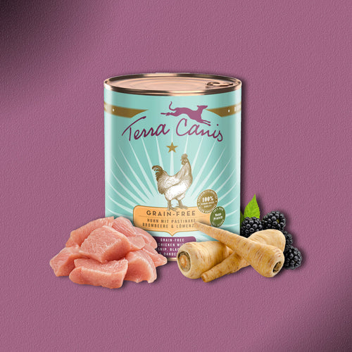 6x800g Terra Canis Grain-Free Huhn mit Pastinake, Brombeere & Löwenzahn