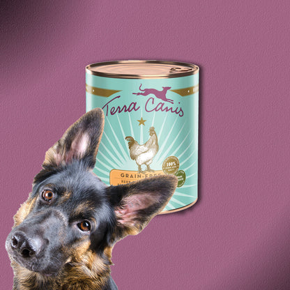 6x800g Terra Canis Grain-Free Huhn mit Pastinake, Brombeere & Löwenzahn