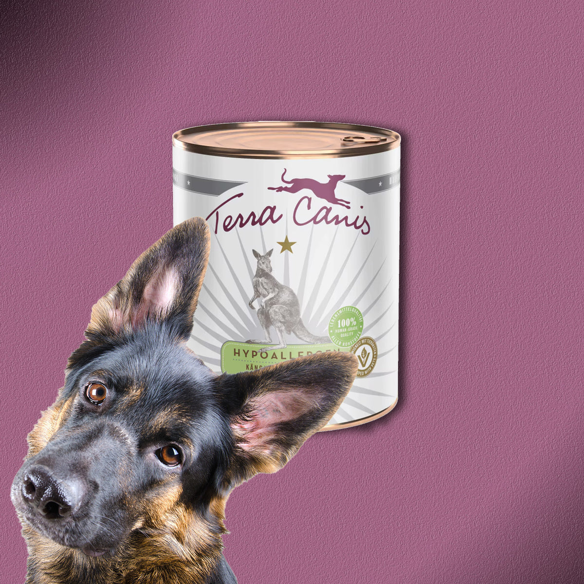 6x800g Terra Canis Hypoallergen Känguru & Pastinake