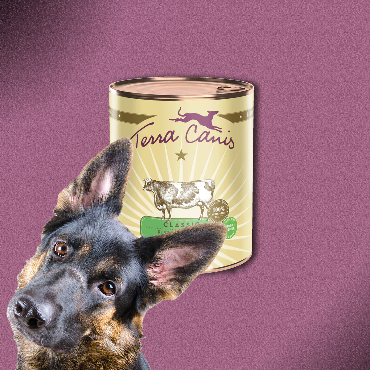6x400g Terra Canis Rind mit Karotte, Apfel & Naturreis